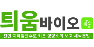 틔움바이오 브로콜리 새싹분말판매